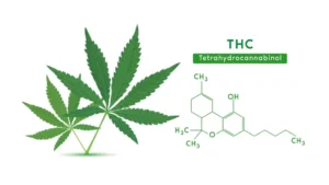 What is THC? A question asked by so many people today. THC carts online is dedicated to educating the public on everything relevant.