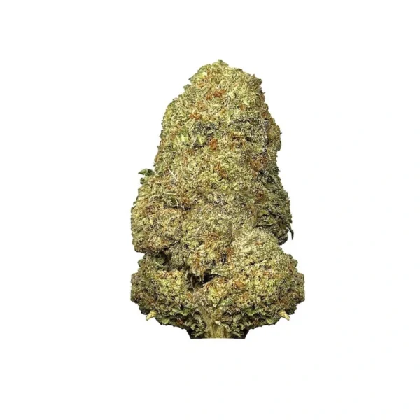 Biscotti Strain is one of a variety of cannabis flower sold by 420smokes.co.uk, used to relief stress, anxiety, depression, etc. order now.